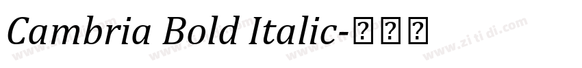 Cambria Bold Italic字体转换
